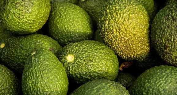 2015 was avid for the avocado