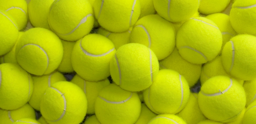 Who will win Wimbledon 2017? The hopes of the tennis fans revealed.