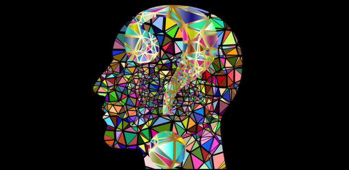 How human differences can affect communication success by Samantha Lynne