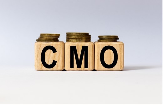 Could Fractional Marketing be Your Answer in 2025? 